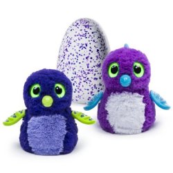 pengualas